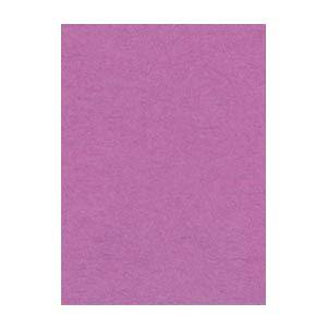 (まとめ) 文運堂 ニューカラーR 四ツ切 横392×縦542mm 4NCR-231 あかむらさき ...