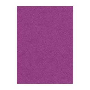 (まとめ) 文運堂 ニューカラーR 四ツ切 横392×縦542mm 4NCR-241 むらさき 10...
