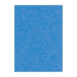 (まとめ) 文運堂 ニューカラーR 四ツ切 横392×縦542mm 4NCR-250 そらいろ 10...