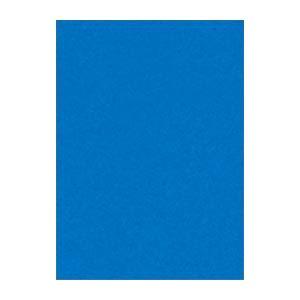 (まとめ) 文運堂 ニューカラーR 四ツ切 横392×縦542mm 4NCR-239 あお 100枚...