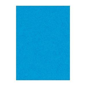 (まとめ) 文運堂 ニューカラーR 四ツ切 横392×縦542mm 4NCR-216 うすあお 10...