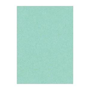 (まとめ) 文運堂 ニューカラーR 四ツ切 横392×縦542mm 4NCR-114 あかるいあさぎ...