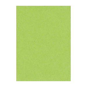 (まとめ) 文運堂 ニューカラーR 四ツ切 横392×縦542mm 4NCR-212 きみどり 10...