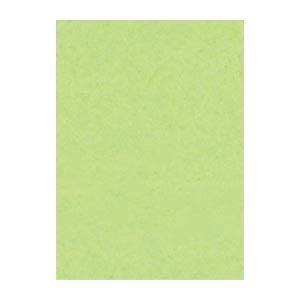 (まとめ) 文運堂 ニューカラーR 四ツ切 横392×縦542mm 4NCR-243 わかくさ 10...