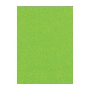 (まとめ) 文運堂 ニューカラーR 四ツ切 横392×縦542mm 4NCR-238 こいきみどり ...