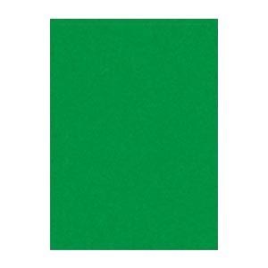 (まとめ) 文運堂 ニューカラーR 四ツ切 横392×縦542mm 4NCR-321 みどり 100...