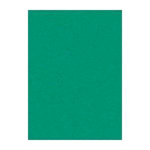 (まとめ) 文運堂 ニューカラーR 四ツ切 横392×縦542mm 4NCR-322 エメラルド 1...
