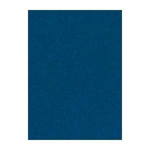 (まとめ) 文運堂 ニューカラーR 四ツ切 横392×縦542mm 4NCR-320 あいいろ 10...