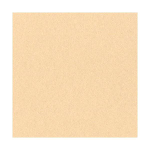 (まとめ)リンテック ニューカラーR 八つ切 しらちゃ 8NCR-111 1パック(100枚)〔×5...