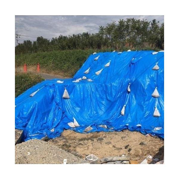 萩原工業 エコフレンドシート#3000 5.4mX5.4m爆買