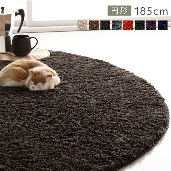 ラグ マット 絨毯 約R185×185cm 円形 ブラウン 洗える 滑り止め付 軽量 ホットカーペッ...