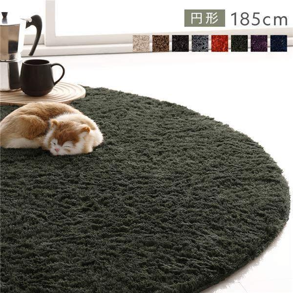 ラグ マット 絨毯 約R185×185cm 円形 グリーン 洗える 滑り止め付 軽量 ホットカーペッ...