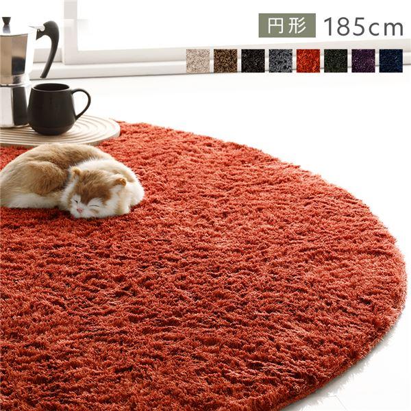 ラグ マット 絨毯 約R185×185cm 円形 オレンジ 洗える 滑り止め付 軽量 ホットカーペッ...