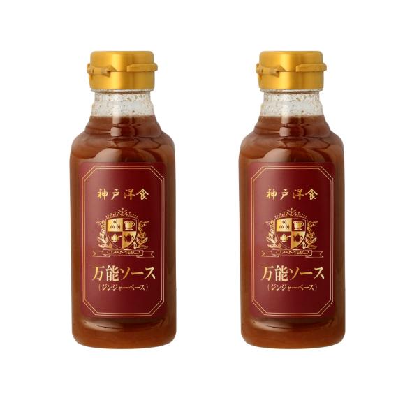 洋食ジャンボ 万能ソース ジンジャーベース 300ml 2本セット 保存料不使用 着色料不使用 神戸...