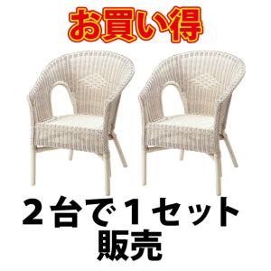 ２個セット 即納可 アームチェア 椅子 いす イス 籐 ラタン リゾート カフェ ガーデンチェア YT101H2SET  w60 d60 h43(81)cm