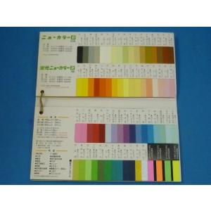 四ツ切　色画用紙一般色　単色1０枚セット売り　（４NCR）　リンテック　ニューカラーR