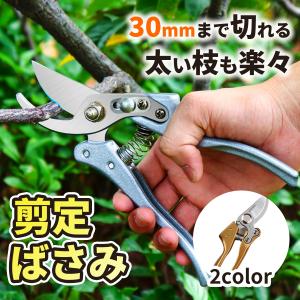 剪定ばさみ 剪定 はさみ 鋏 庭木 植木 庭 ガーデン 軽量 造園 盆栽 枝 枝切 伐採 園芸 ガーデニング 30ｍｍ アウトレット