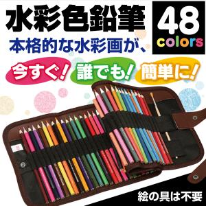 在庫処分 色鉛筆 48色 48本 セット 水彩 色えんぴつ イラスト