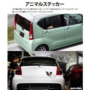 カーステッカー 犬 猫 かわいい 動物 アニマ...の詳細画像2