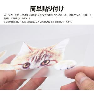 カーステッカー 犬 猫 かわいい 動物 アニマ...の詳細画像3