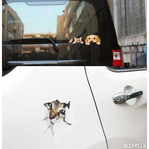 カーステッカー 犬 猫 かわいい 動物 アニマ...の詳細画像4
