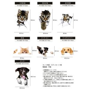カーステッカー 犬 猫 かわいい 動物 アニマ...の詳細画像5