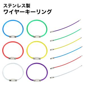 ワイヤーキーリング キーチェーン キーホルダー ステンレス ロックワイヤー アクセサリー 10cm 2mm 単品