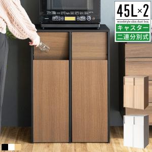 ごみ箱 ゴミ箱 45リットル 45l おしゃれ 分別 スリム