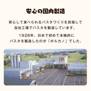 ピアセボレ 1.6mm 300g 家庭用 パス...の詳細画像4