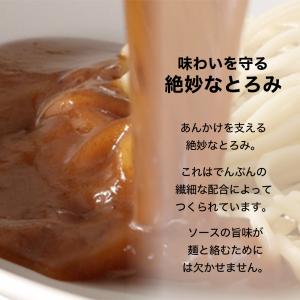 【☆50%OFF特別価格☆】 ヨコイのソース ...の詳細画像5