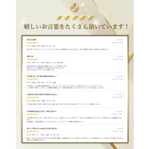 折りたたみ自転車 26インチ マウンテンバイク...の詳細画像3