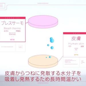 ミズノ ブレスサーモ 中綿ウォーマージャケット...の詳細画像4