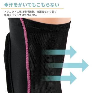 【レビューでクーポン】【送料無料】D&...の詳細画像5