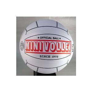 ミニバレー/ボール MINI-VB-10SET｜volleyballassist