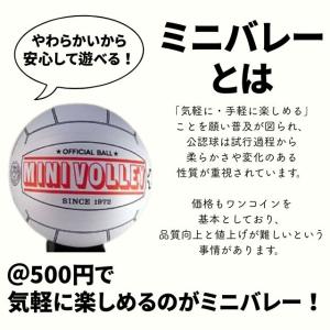 ミニバレー/ボール MINI-VB 爆買の詳細画像2