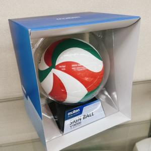 モルテン バレーボール カラーサインボール V...の詳細画像3