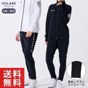 ジャージ 上下 大きいサイズ メンズ PHITEN ファイテン スウェット