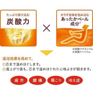 炭酸力 の バブ 花王 薬用入浴剤 7種の香り...の詳細画像4