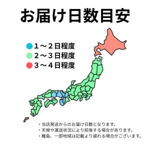 シック カミソリ シェーバー イントゥイション...の詳細画像2