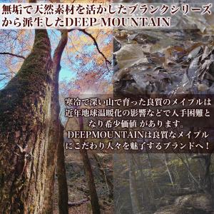 スケボー コンプリート DEEP MOUNTA...の詳細画像1