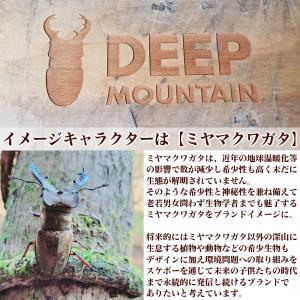 スケボー コンプリート DEEP MOUNTA...の詳細画像2