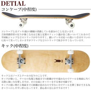 スケボー コンプリート DEEP MOUNTA...の詳細画像4