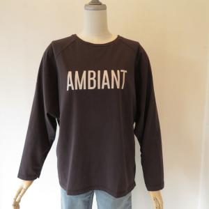ロゴ（AMBIANT）ラグランTシャツ（マイカ＆ディール）