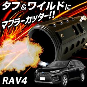 DC sports EX-1012B 1本 マフラーチップ マフラー エンド マフラー