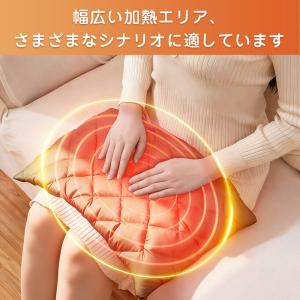 最新改良 湯たんぽ ハンドウォーマー 3段階温...の詳細画像3