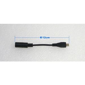5.5/2.1mmメス→microUSBオス変...の詳細画像1