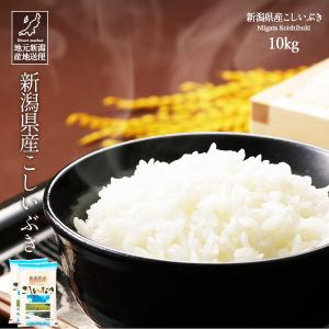 コシヒカリ お米 20kg 白米 送料無料 令和7年産 新潟県産コシヒカリ
