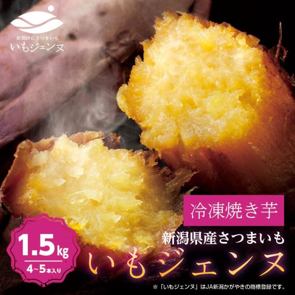さつまいも さつま芋 薩摩芋 焼き芋 いも いもジェンヌ 新潟県産 1.5kg 4〜5本 長期熟成 ...