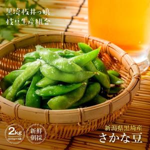 【ルネ】新潟黒埼産 枝豆 A品 5kg（送料無料キャンペーン） 産地直送 数量限定 予約商品 9月下旬〜発送】枝豆 新潟 黒埼