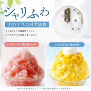 かき氷機 かき氷器 電動 ふわふわ バラ氷 ス...の詳細画像2